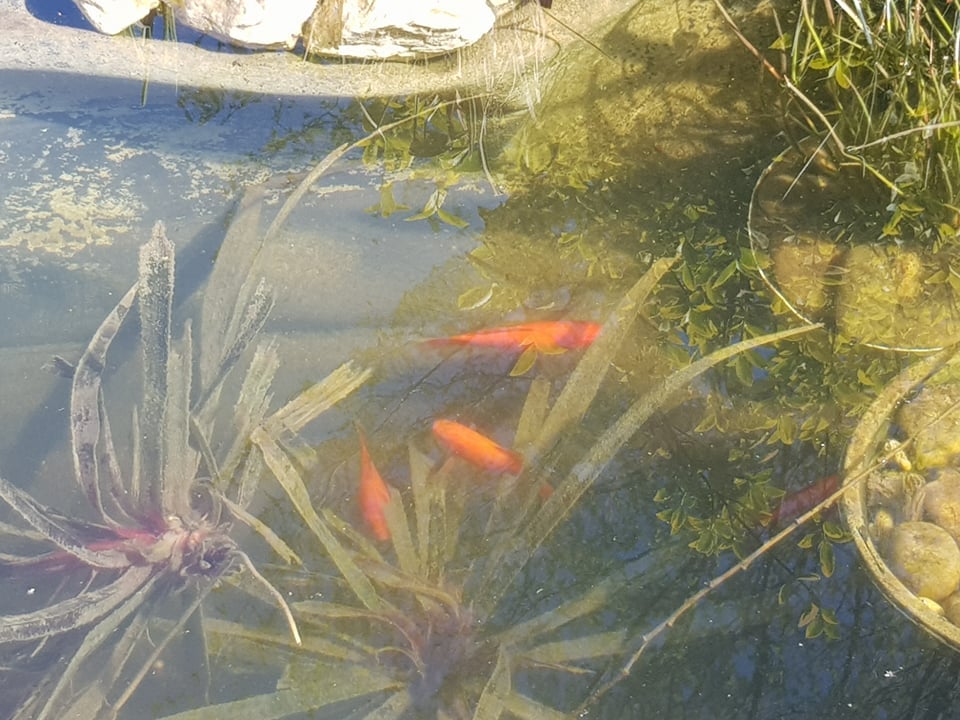 176198227 4251906958177506 4296228652342247862 n