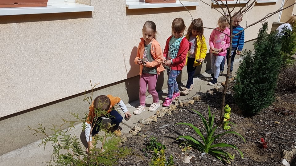 176223324 4251906174844251 1396083722421963348 n