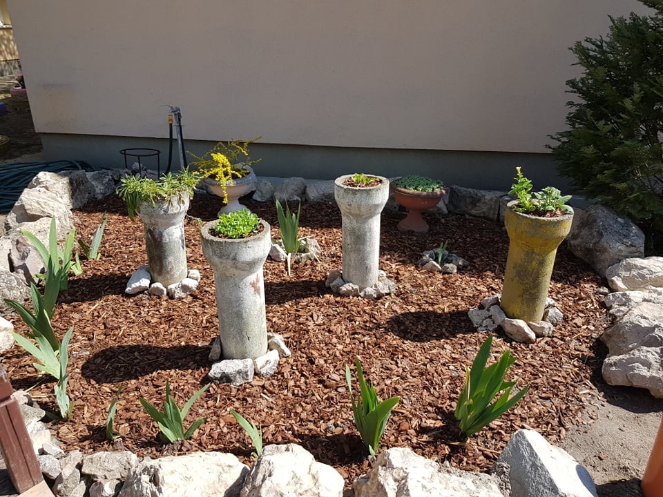 176511522 4251907064844162 5595545575009515095 n