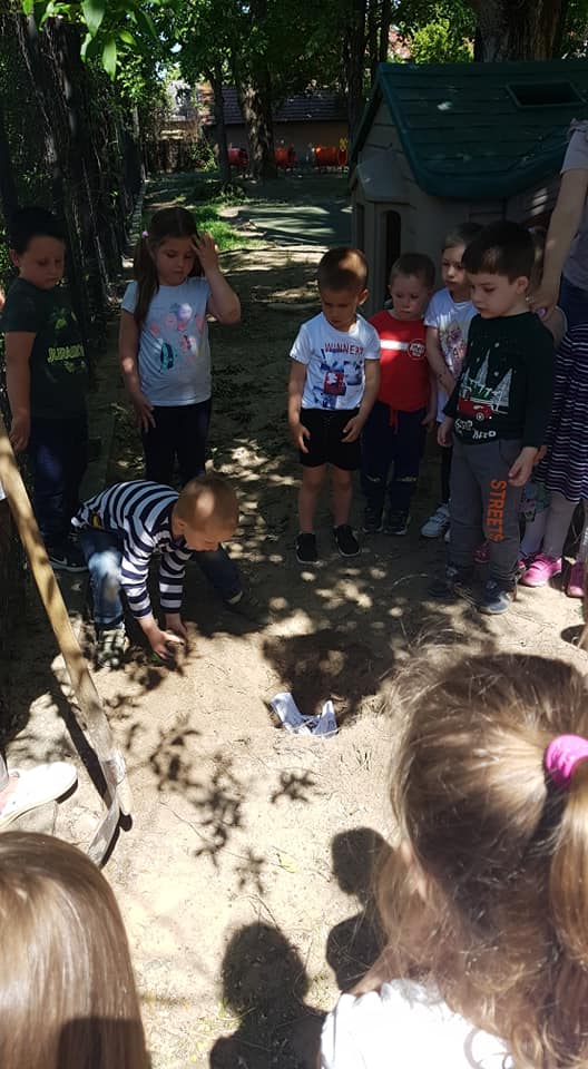 185099144 4308524179182450 6692789218445201651 n