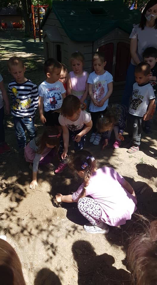 185522423 4308524442515757 6475900359357075619 n