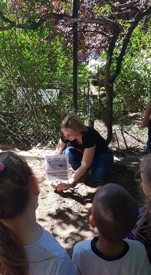 185702931 4308524949182373 2433049991189173130 n