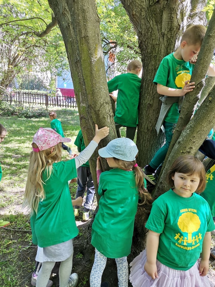 184230444 4305342702833931 3879999446633112997 n