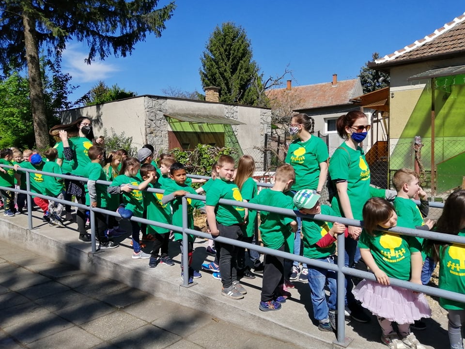 184527553 4305342416167293 5236784386759428134 n