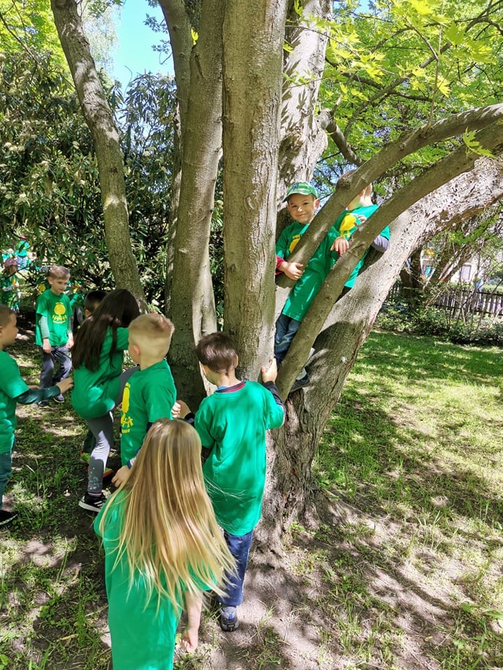 184994609 4305342716167263 7318544567575445003 n