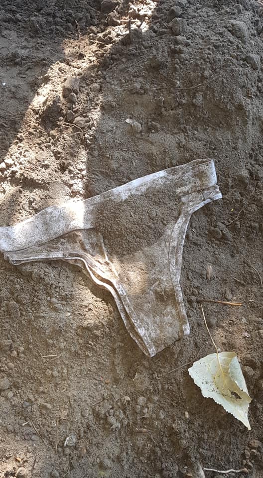 219202804 232003225592799 7303008020314474247 n