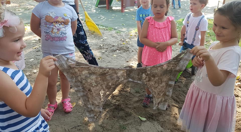 57038397 821317921557096 2151789365599141888 o