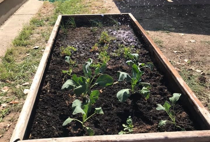 57038397 821317921557096 2151789365599141888 o