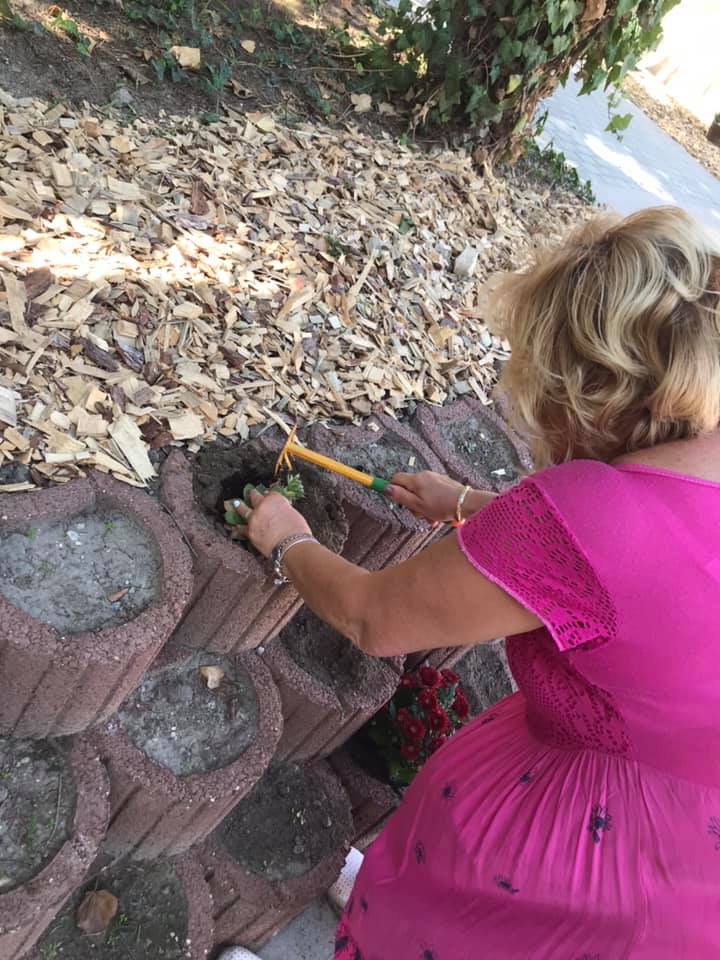 241861203 258513316275123 8077659104422824732 n