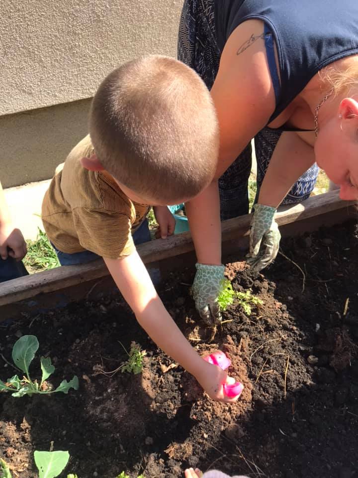 242003620 258512882941833 6275591940149681702 n