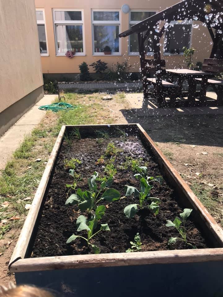 242024156 258514772941644 712274679881029639 n