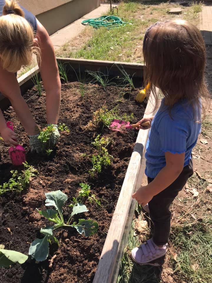 242050192 258513666275088 6471708807722520315 n