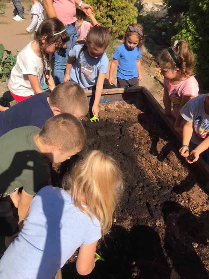 242065862 258512859608502 760974241402509601 n