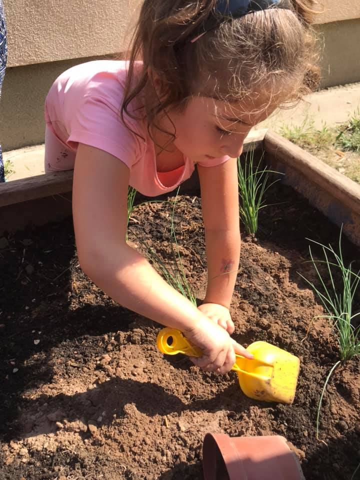 242198934 258513132941808 596885845120072989 n