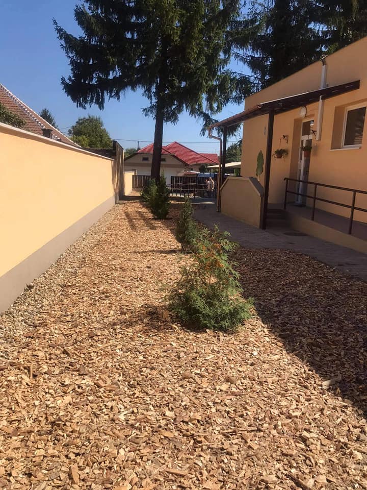 241734865 254964009963387 7054022803357451632 n