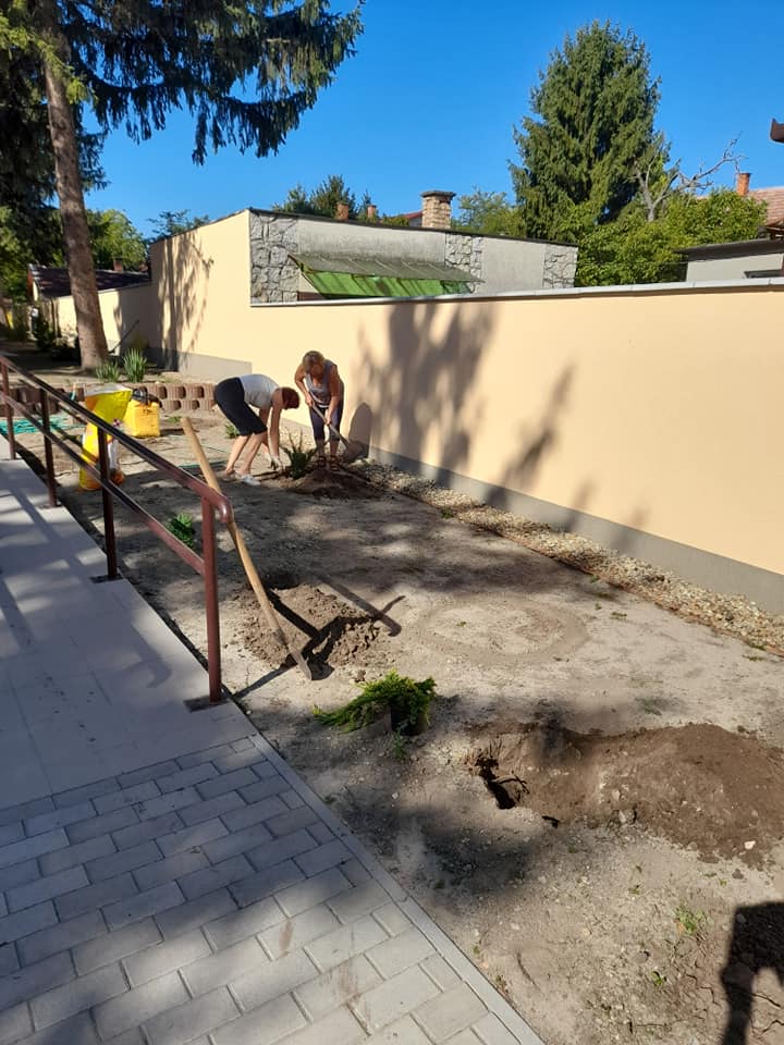 241740264 254963833296738 4252907214135591832 n