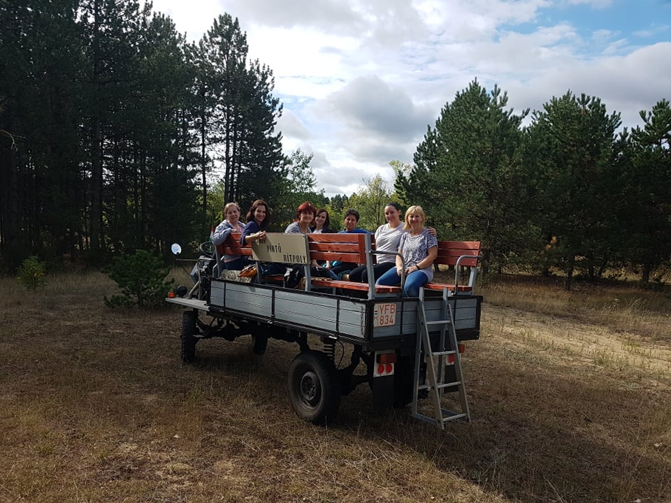 242435932 261921792600942 4017298559086804117 n