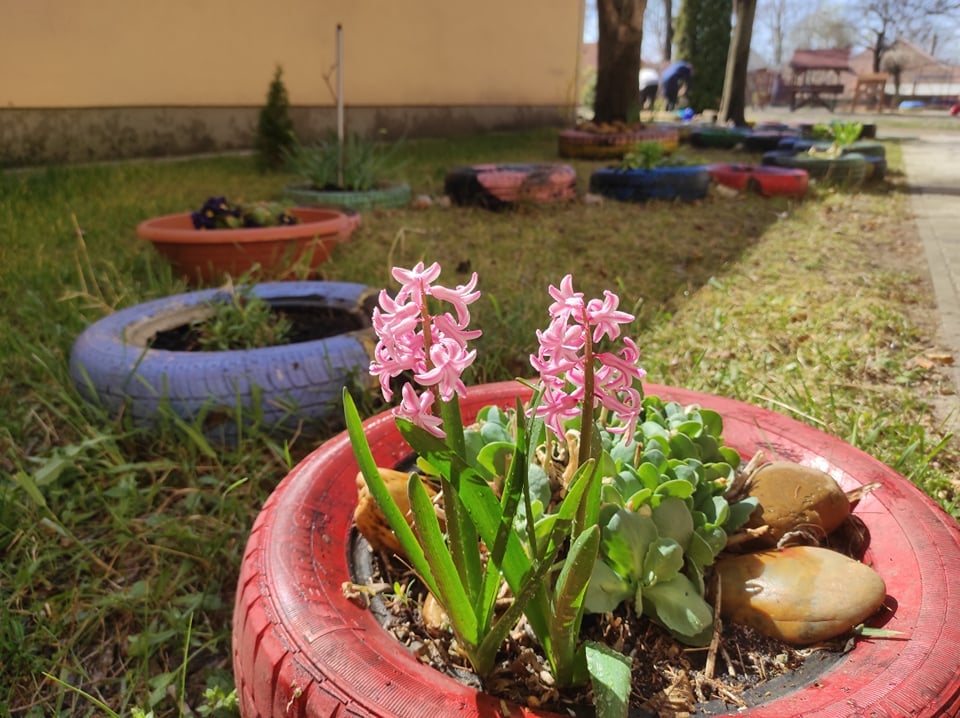 57038397 821317921557096 2151789365599141888 o