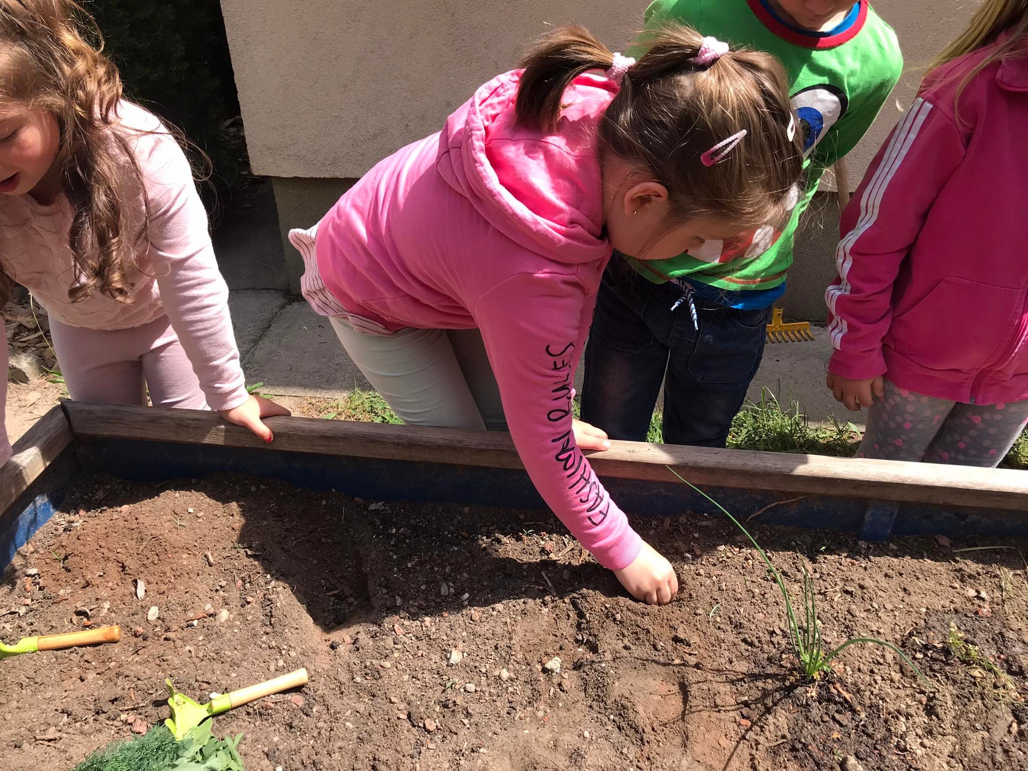 57038397 821317921557096 2151789365599141888 o